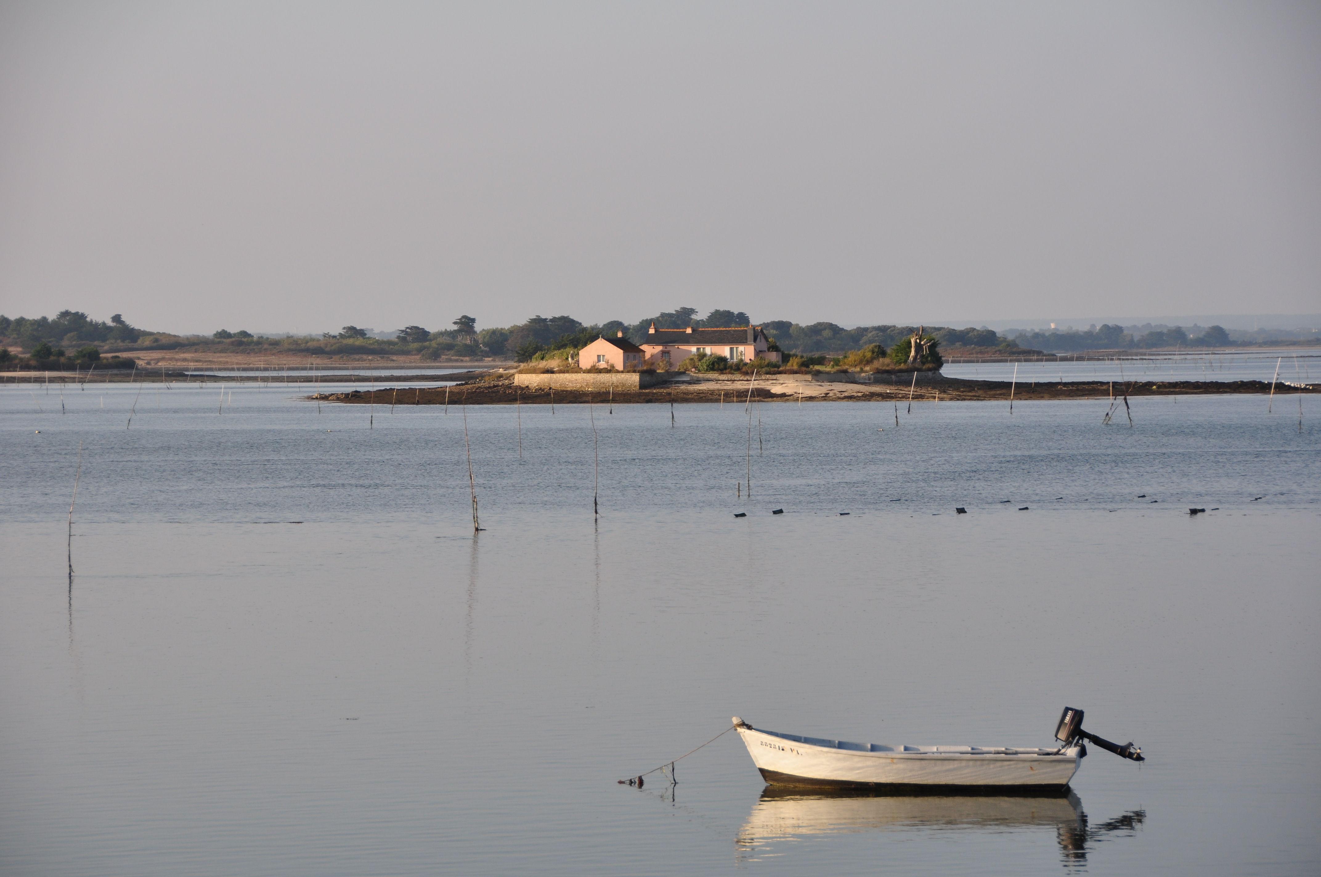 Ile aus oeufs -golf du Morbihan