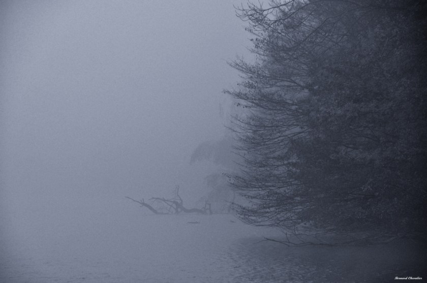 Etang de la minière-Ma photo-Bernard-2012-37-ter