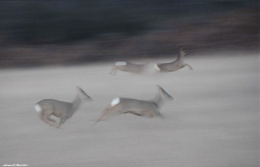 Ma photo de la semaine-25_page1_image1