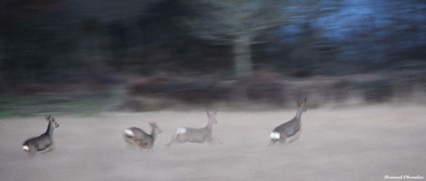 Ma photo de la semaine-25_page1_image2