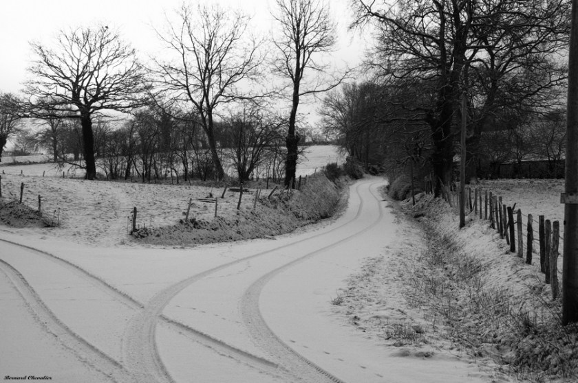 Ma photo-Bernard-2010-17