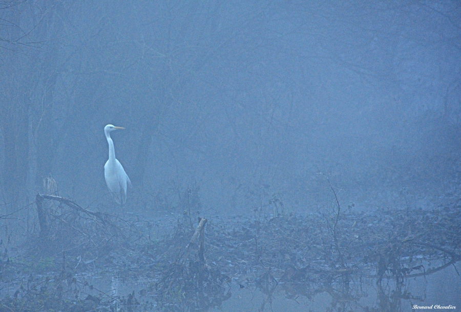 ma photo-Bernard-2013-3-blog