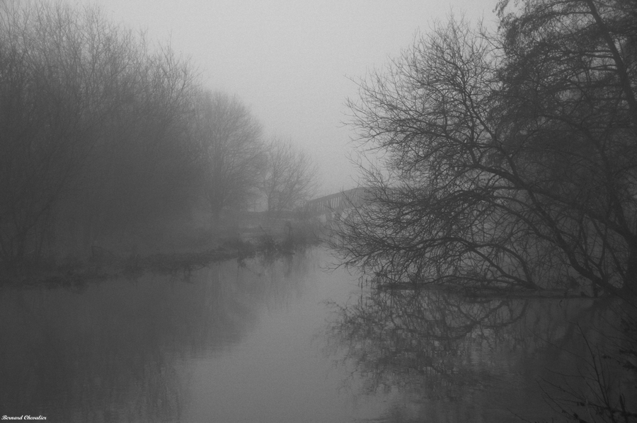 Ma photo-Bernard-2013-4