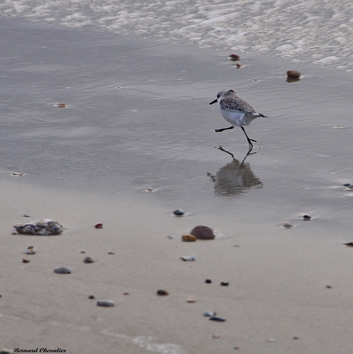 Ma photo-Bernard-2013-5.1-blog