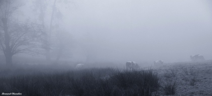 Ma photo de la semaine-18