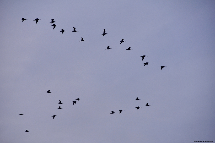 Ma photo-Bernard-2013-6-blog