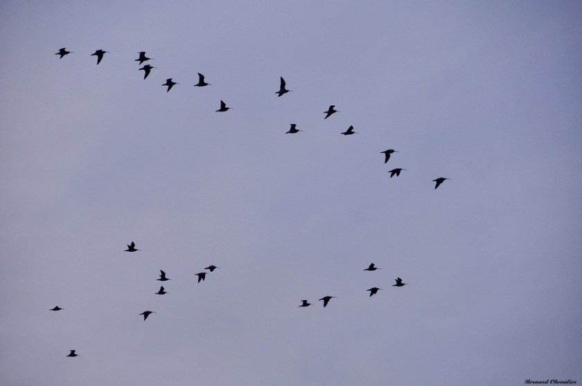 Ma photo-Bernard-2013-6-blog