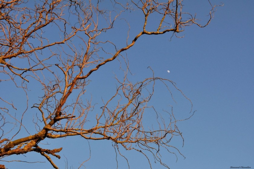 Maphoto-Bernard-2013-9-1