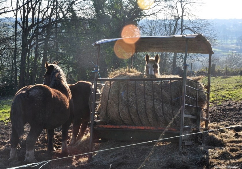 Ma photo-Bernard-2013-10