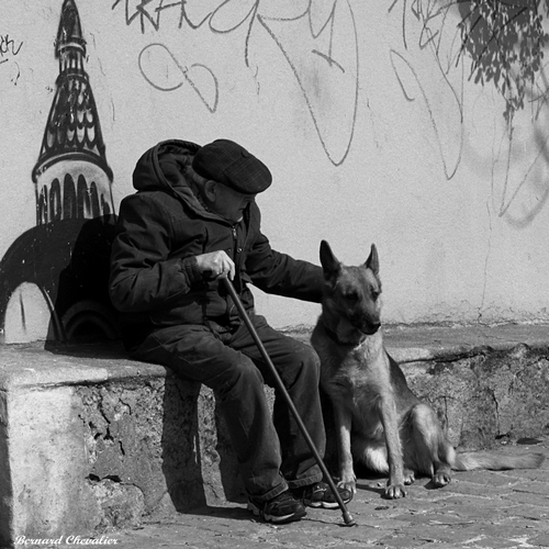 Le vieil homme et son chien-blog