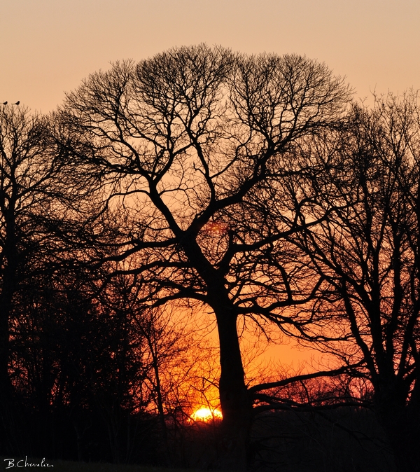 ma photo-Bernard 2010-09.1