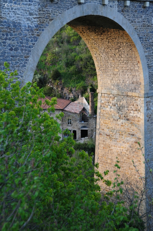 ma photo-Bernard-2010-15