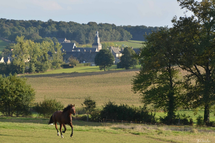 Ma photo Bernard 2013-33-bis