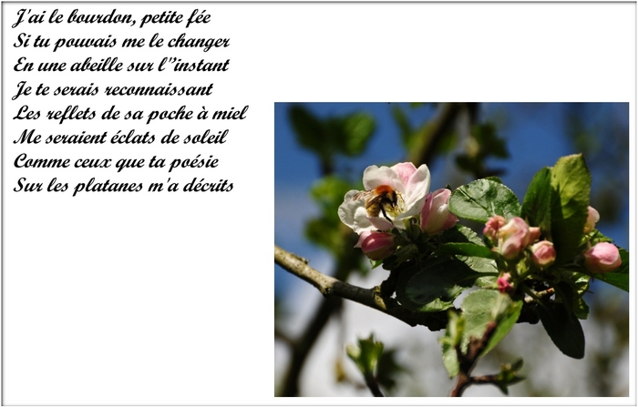 J'ai le bourdon-blog