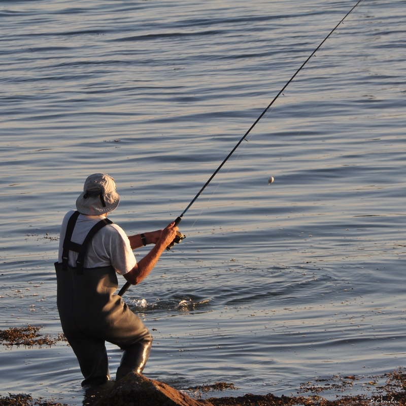 Pêcheur de bar1