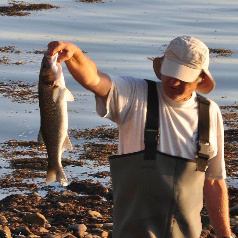 Pêcheur de bar2
