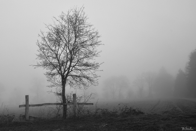 blog-bc-2014-4 barrière dans le brouillard