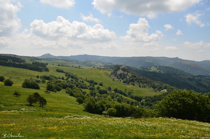 blog-bc-2014-42 verscol des 4 Vios