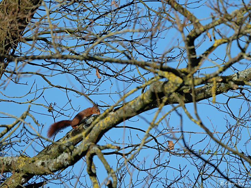 blog-bc-2015-9 il est revenu