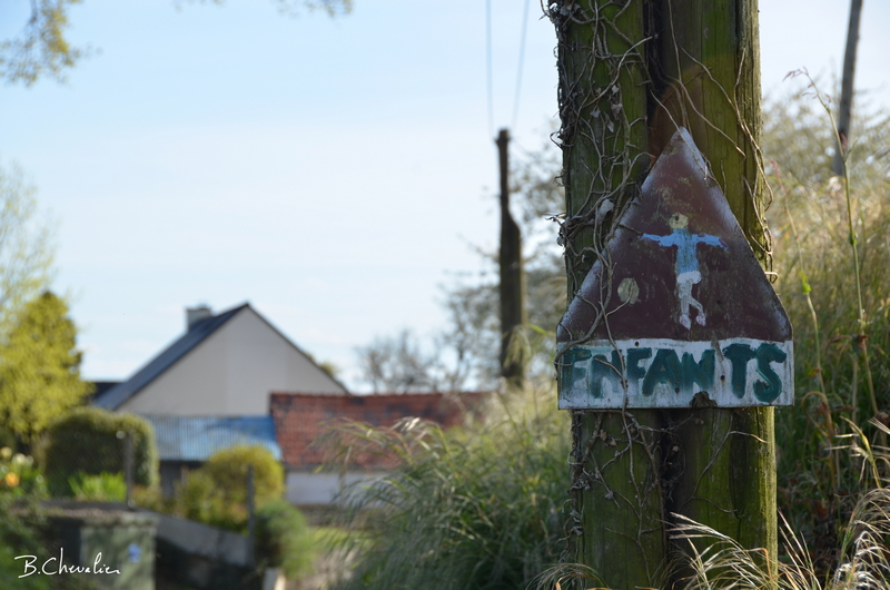 blog-bc-2016-18 les enfants ont grandis