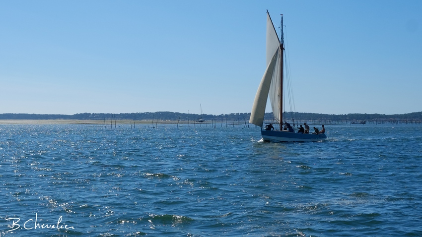 blog-bc-2016-32-vers-lile-aux-oiseaux