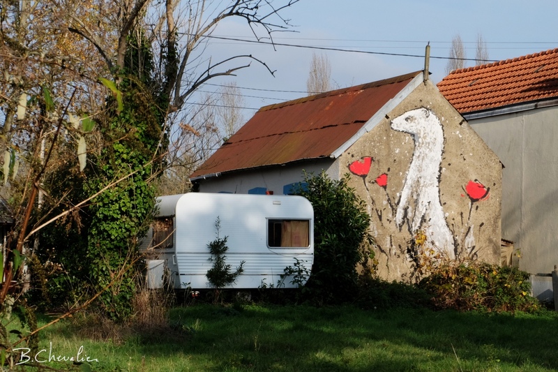 blog-bc-2016-40-prairie-saint-martin