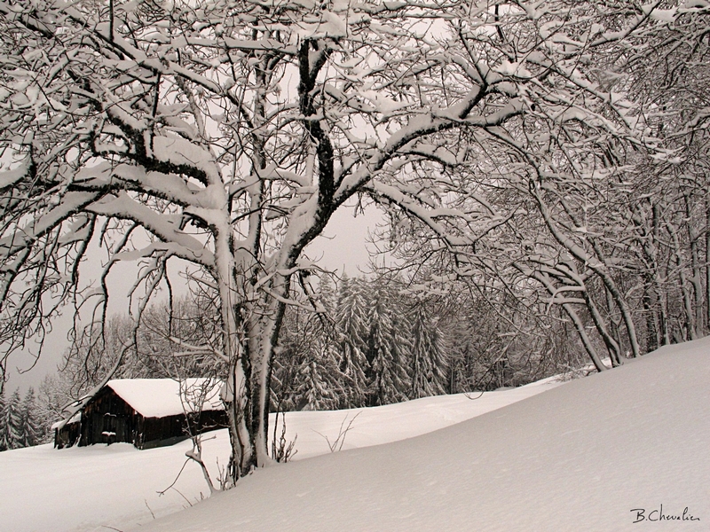 blog-bc-2017-10-une couche de poudreuse