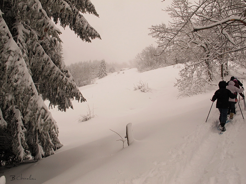 blog-bc-2017-11 raquettes