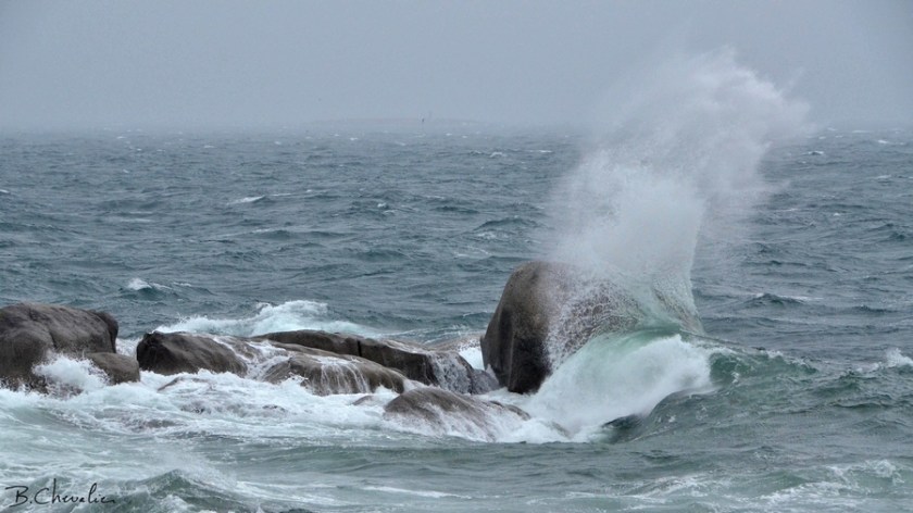 blog-bc-2017-29 Vague