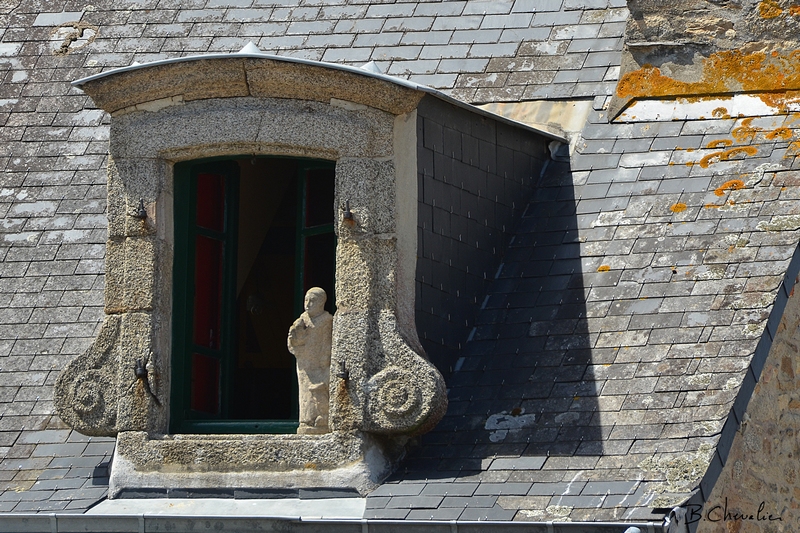 blog-bc-2017-33 Petit curieux