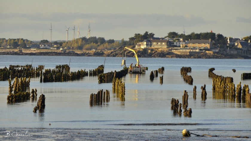 blog-bc-2018-37-Bouchots en face de Penn Lann