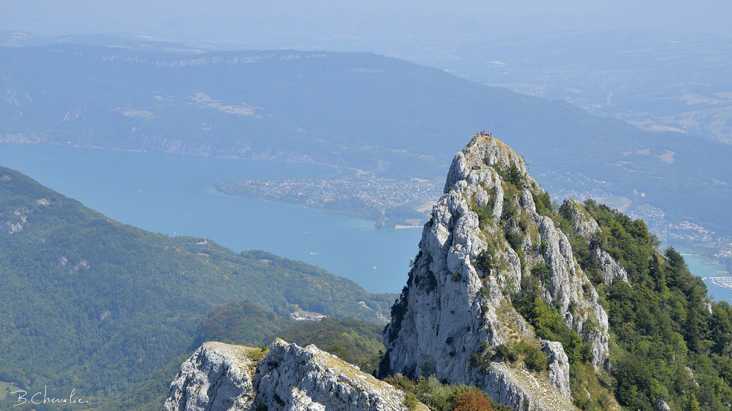 blog-2018-40-Dent du chat