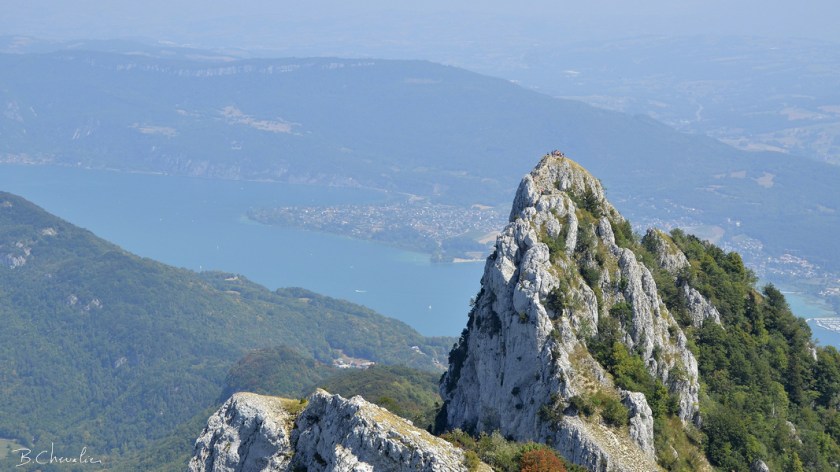 blog-2018-40-Dent du chat