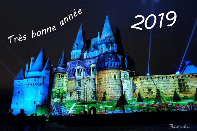 bonne année 2019 - web
