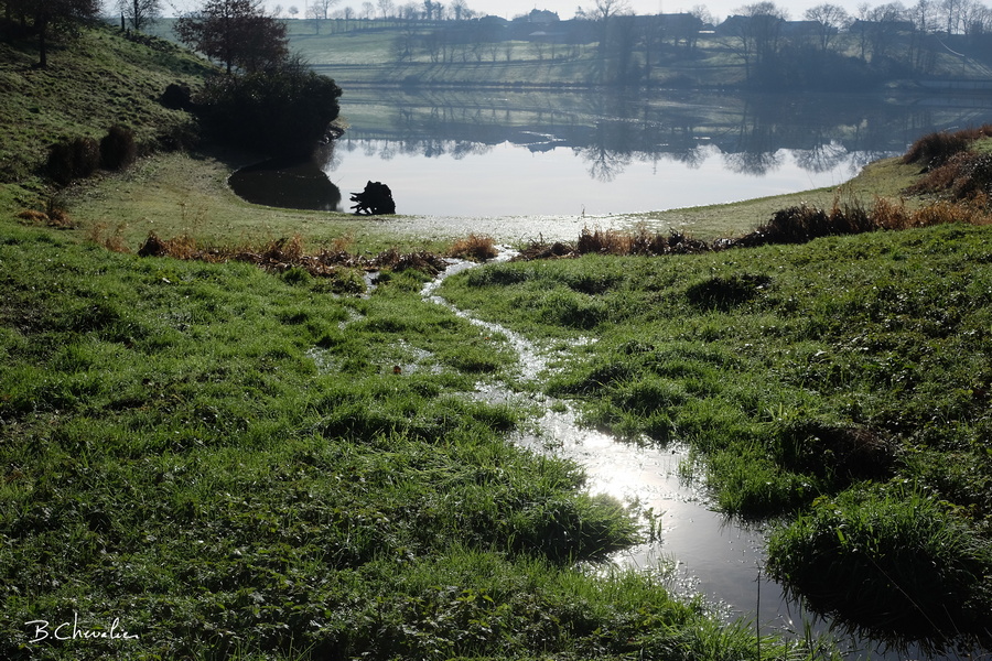 blog-bc-2019-8-Zone humide