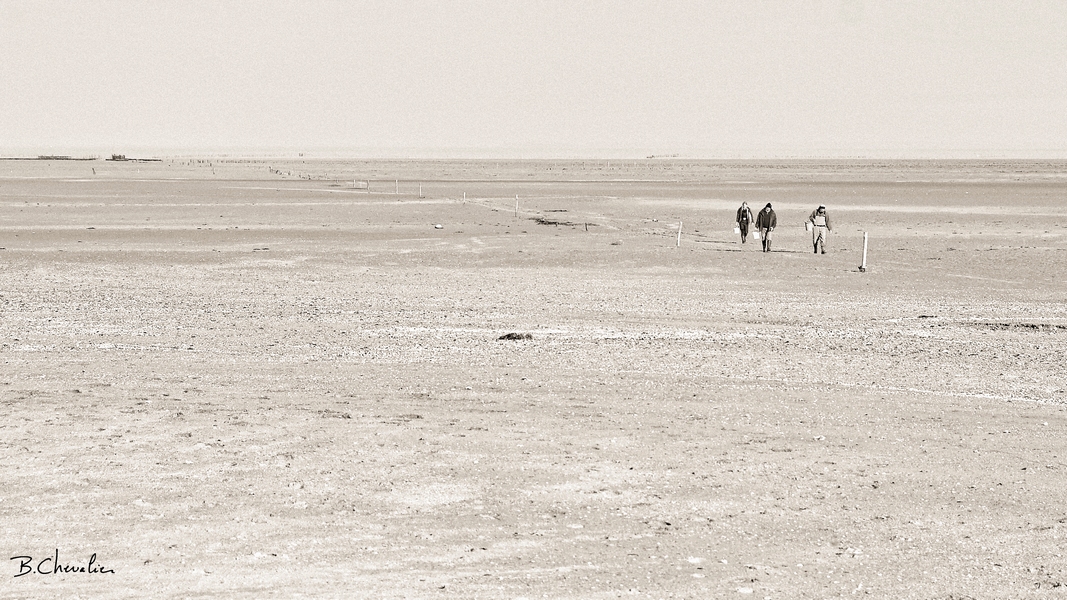 blog-bc-2019-27-Retour de pêche à pied