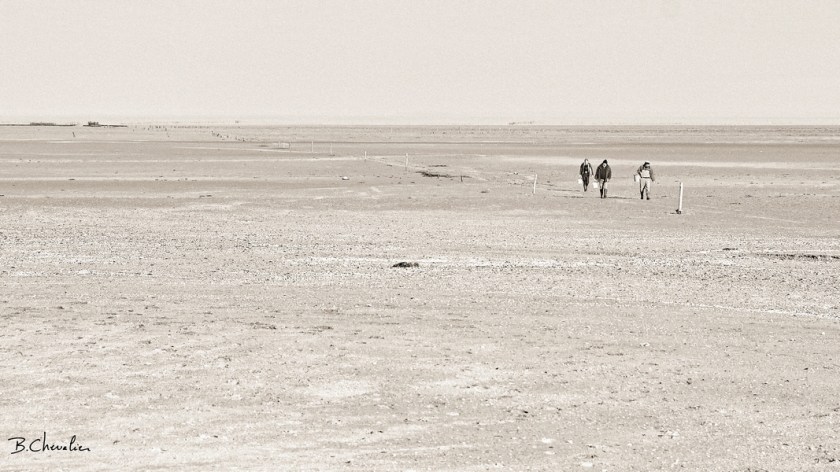 blog-bc-2019-27-Retour de pêche à pied