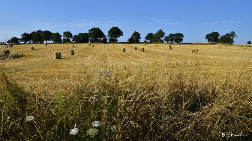 blog-bc-2019-29-Meules de foin