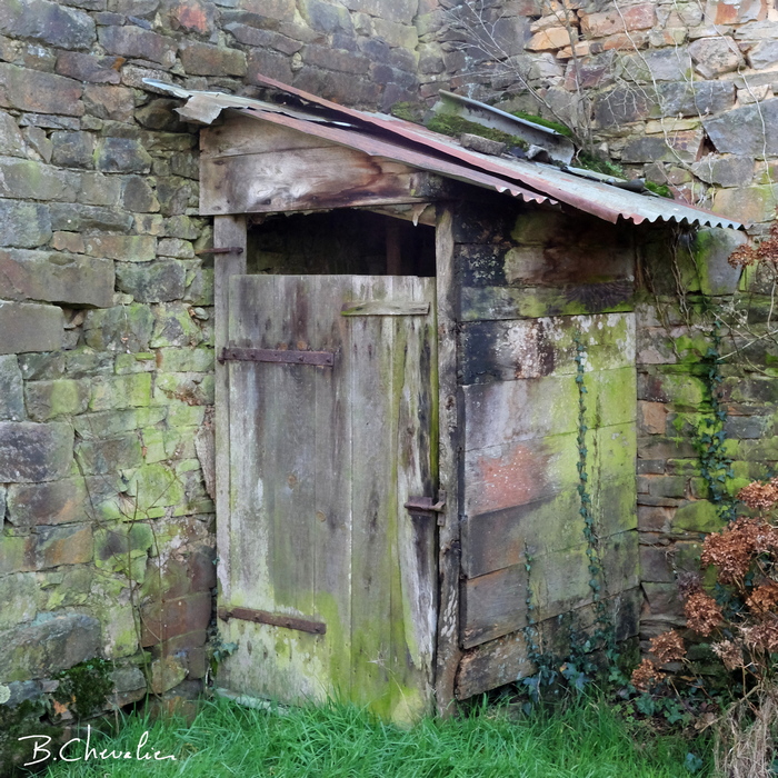 blog-bc-2020-6-La cabane au fond du jardin