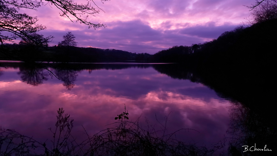 blog-bc-2020-19-Etang mauve